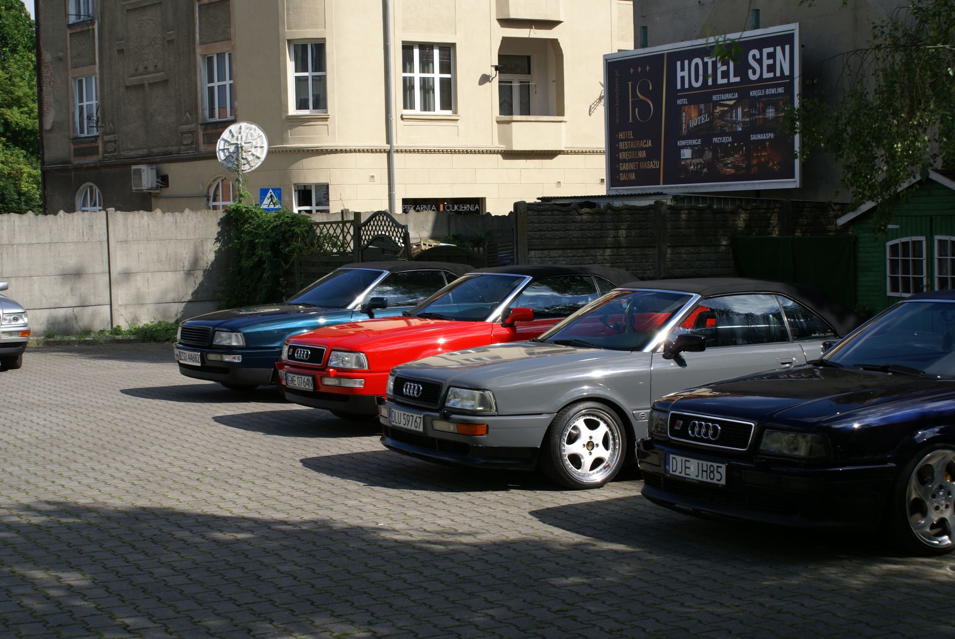 DSC00646.jpg
