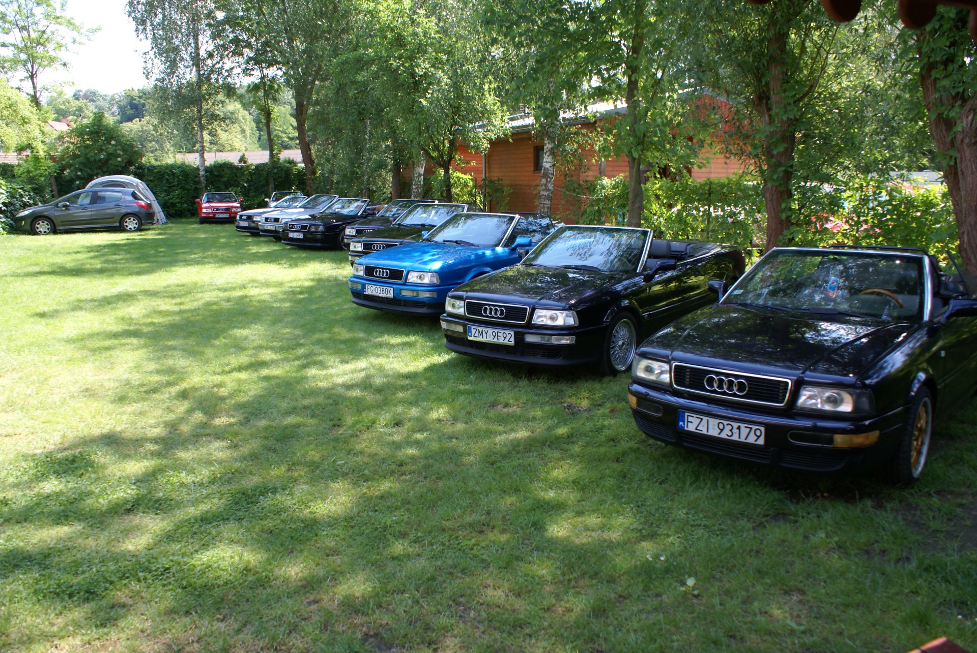 DSC00590.jpg