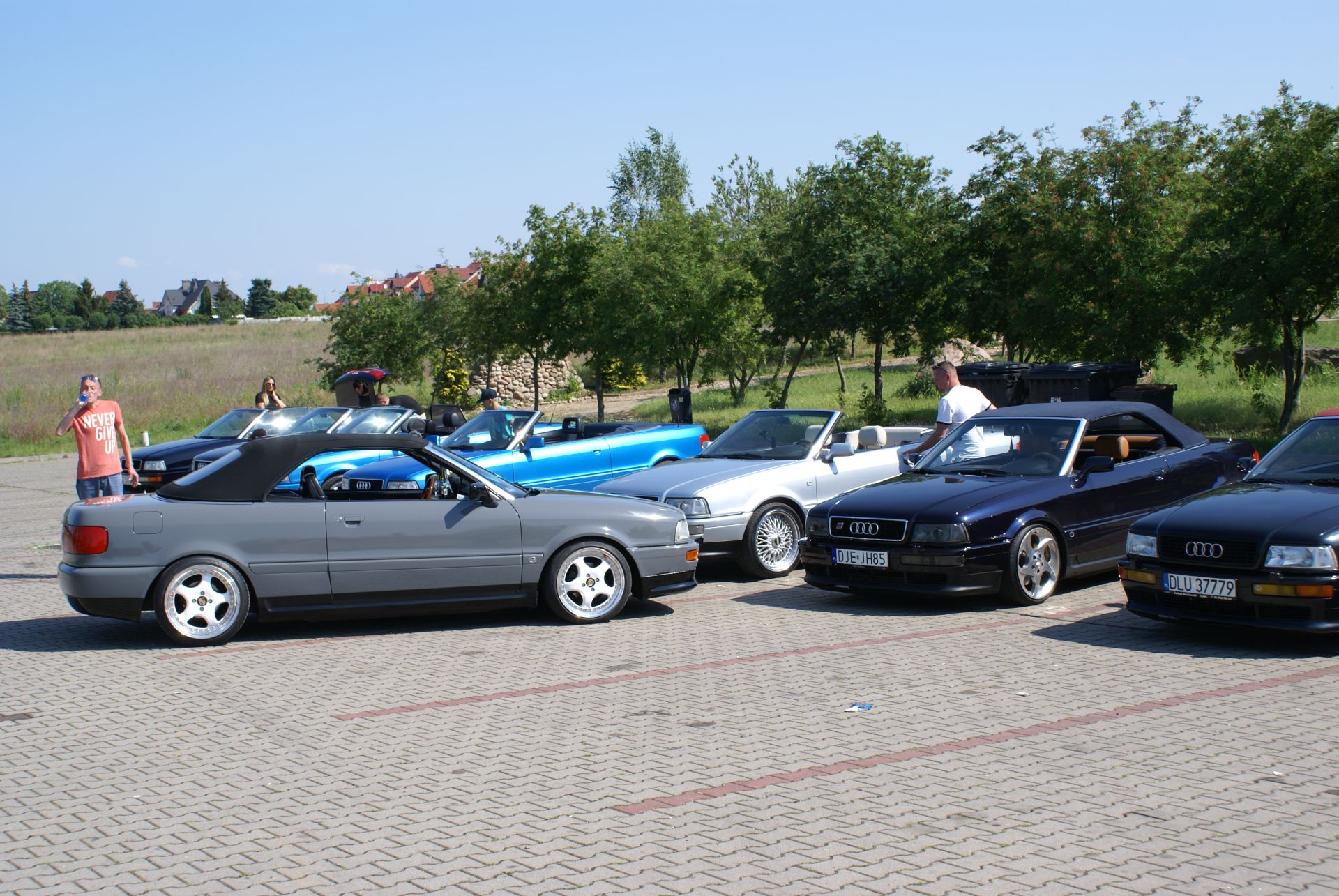 DSC00564.jpg