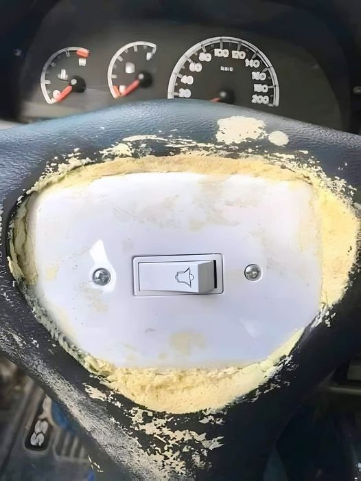 462708256_517902007654868_288735599492080396_n.jpg