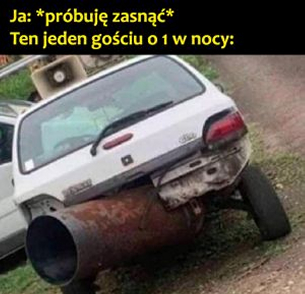 glosneauta.jpg
